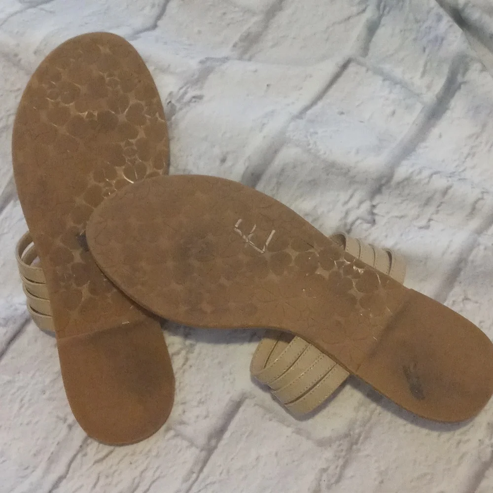 kate spade women size